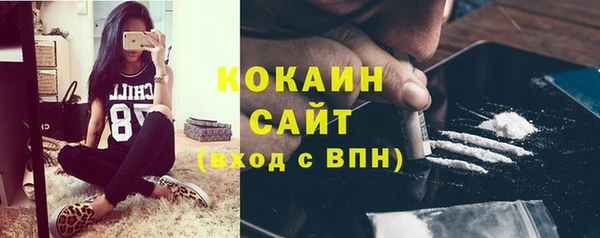 сатива Абинск