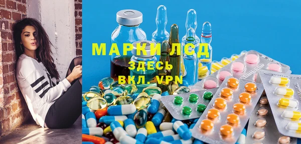 сатива Абинск