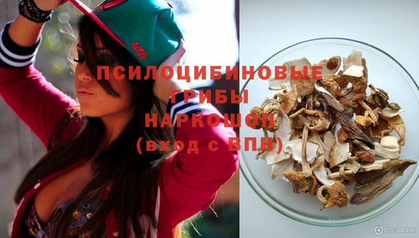 сатива Абинск