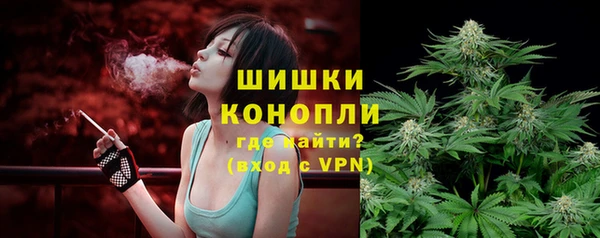сатива Абинск