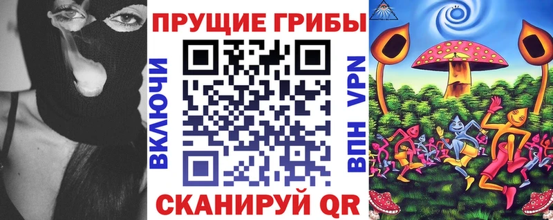 OMG ссылка  Мамадыш  Псилоцибиновые грибы Psilocybe 